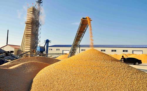 ȫ���׌üZʳ����O(sh��)�似�g(sh��)�c�ИI(y��)�l(f��)չ�������8���e��